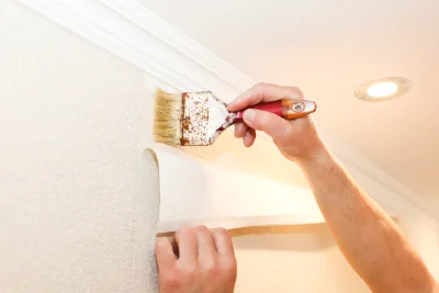 Pose de papier peint à Vaulx-Milieu — revêtements muraux et toiles de verre